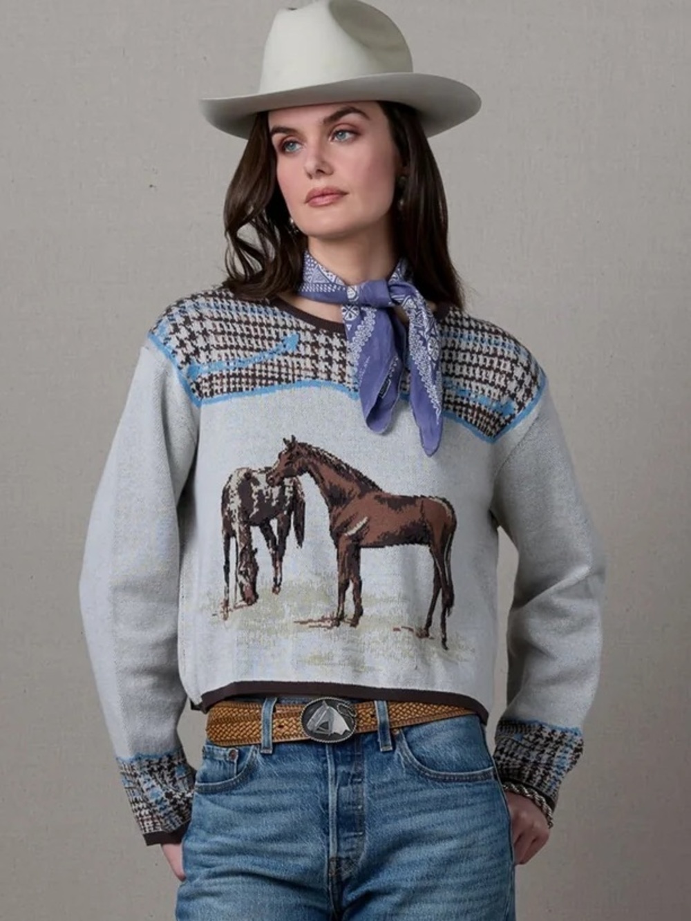 Double D Ranch Horsiculture horse Sweater 100% Cotton Equestrian RTL $395 1X NWT - Picture 2 of 6
